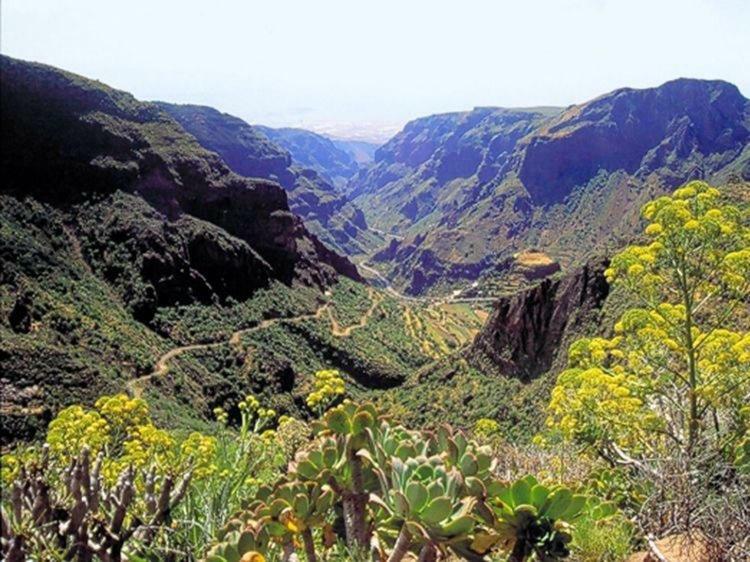 La Cuadra Finca El Calabres Аґуїмес Екстер'єр фото